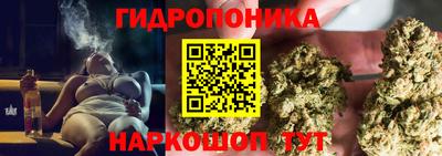 прущие грибы Туймазы
