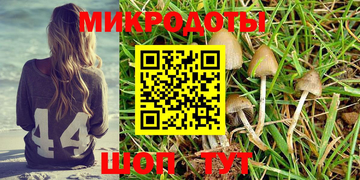 Галлюциногенные грибы Cubensis  Вход с VPN  Муром 